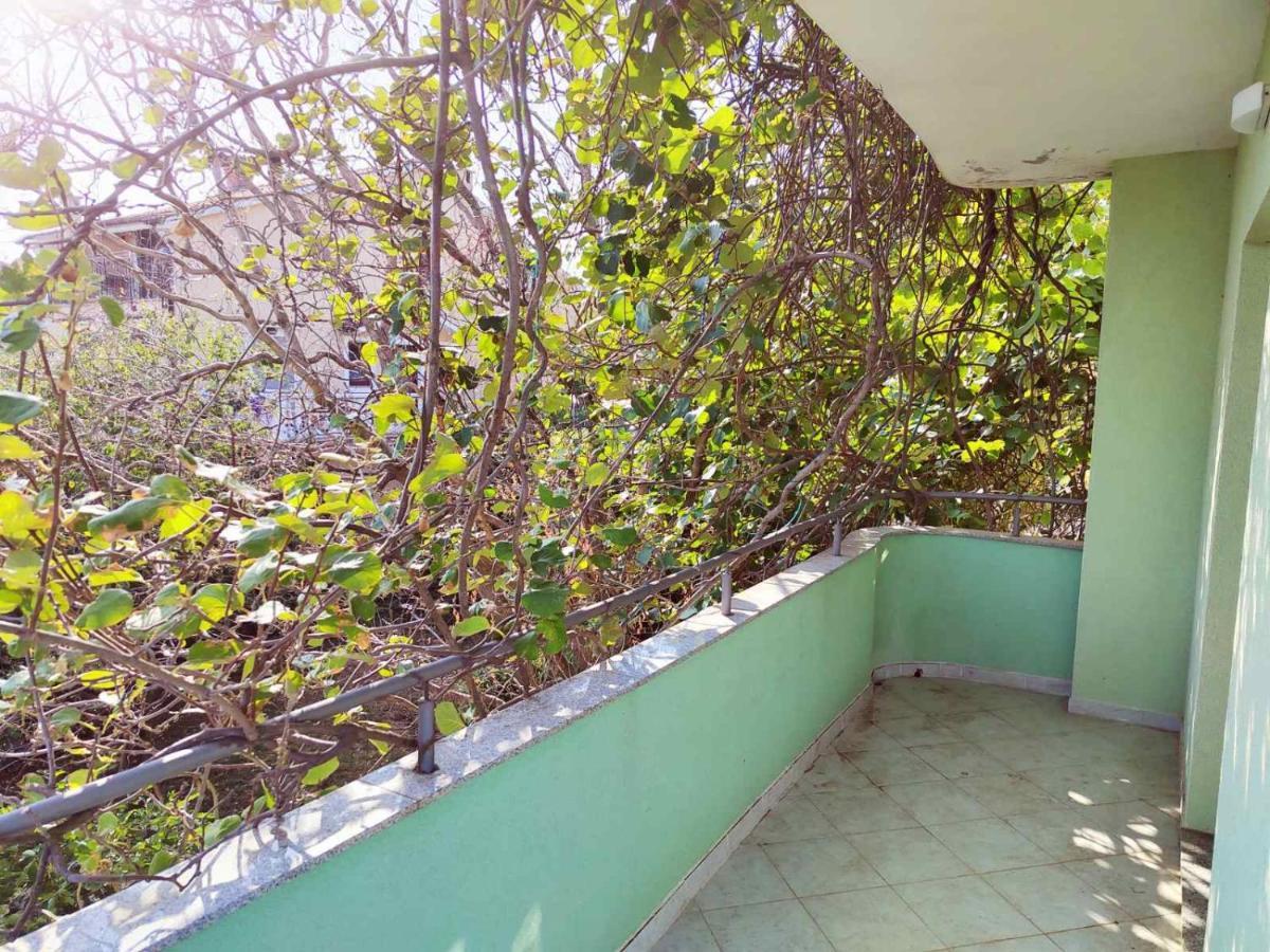 Green House Čavle Екстериор снимка